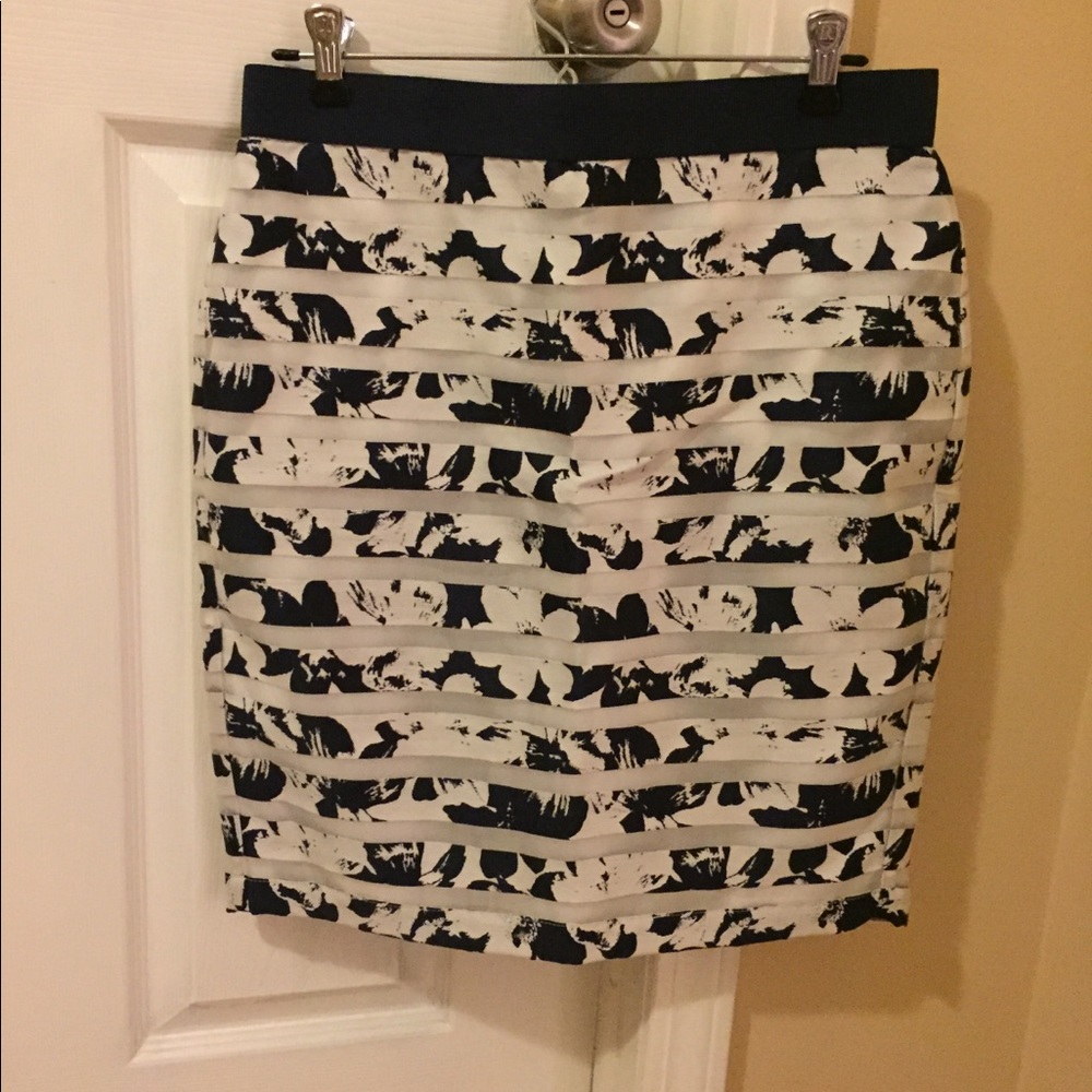 Ann Taylor Petite Skirt